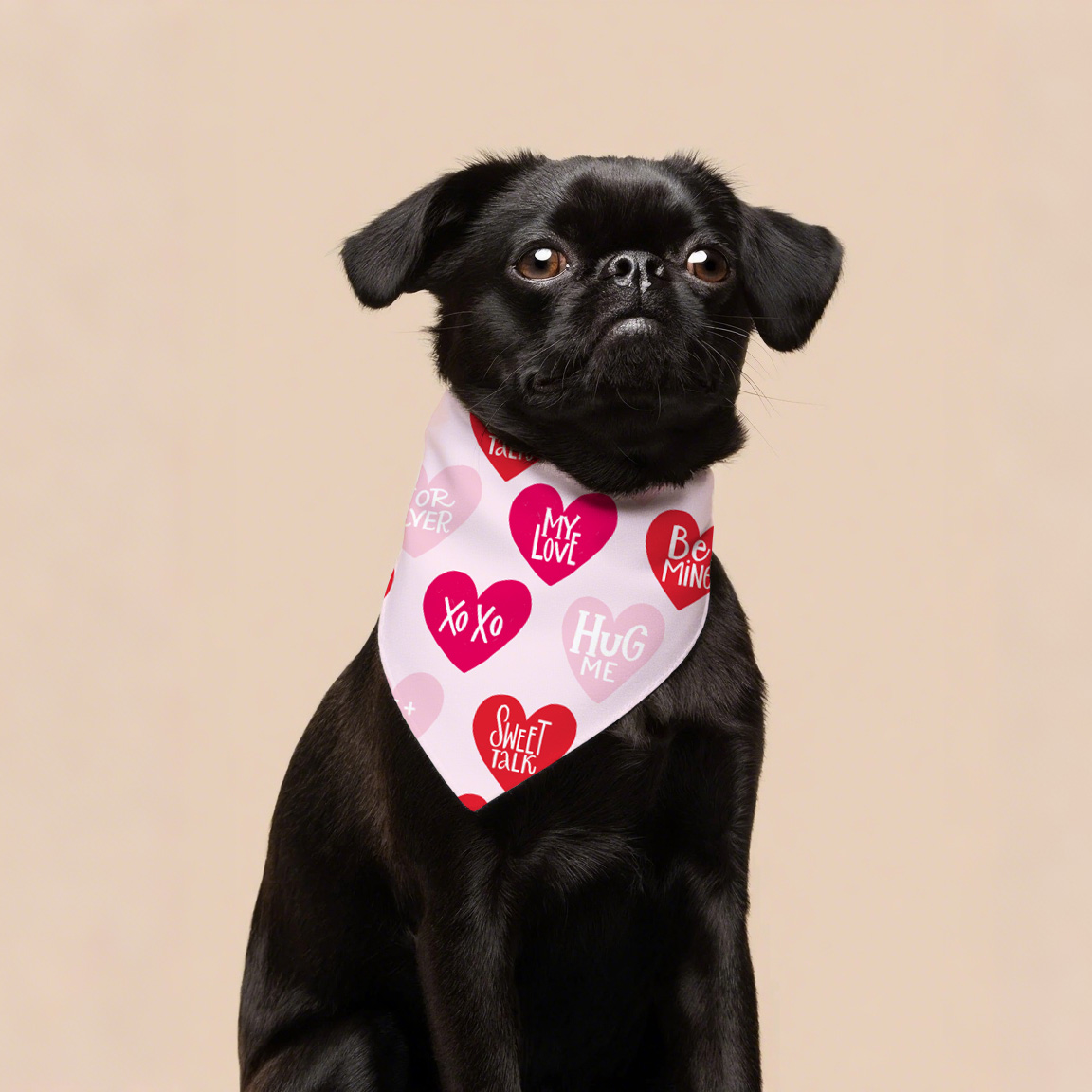 Valentínsky deň psov Bandana Cute Pet Pet Apparel doplnky pre pohodlie a štýl psov
