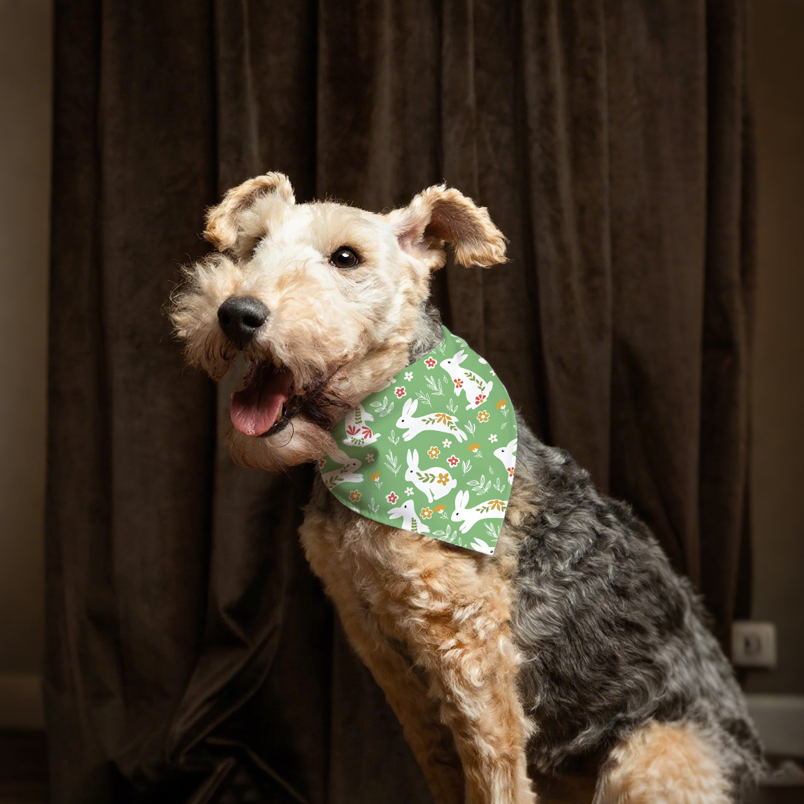 Lógó saincheaptha só -díol te clóbhuailte bunny na Cásca madra bandana cúlpháirtí peataí ilfheidhmeach don earrach geimhridh don mhadra