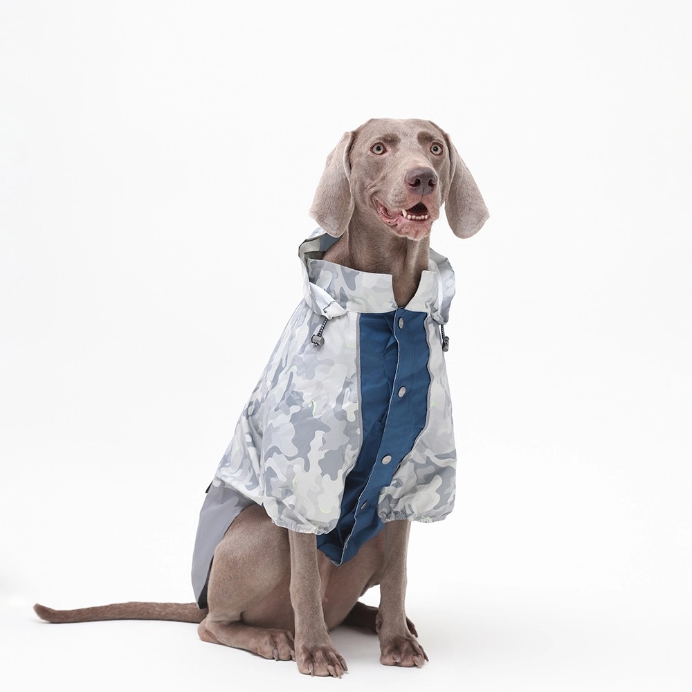 dog raincoat