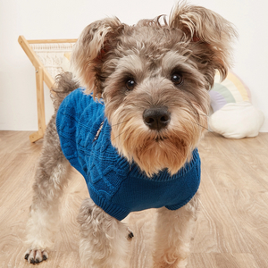 Dog Sweater Puppy Sweater For Small Dogs Men & Winter Cold Weather Knitted High Neck Pet Sweater Clothes For Puppy Cats