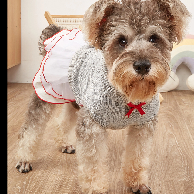 Robe pullaire en tricot, vêtements d'hiver pour chiens à carreaux pour filles, teckel chiot pour animaux de compagnie