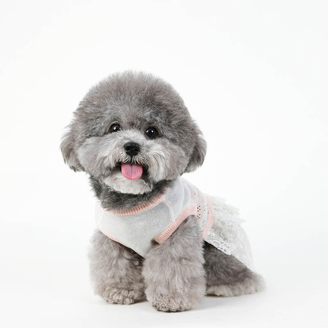 Pet Dog Long Sweater Robe tricotée Pull à cou tricot