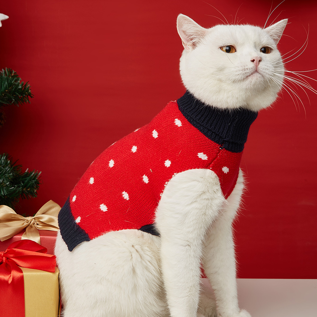 Chiens de chien animal de compagnie de Noël rouge polka point pull en tricot de design en tricot moteurs de chien