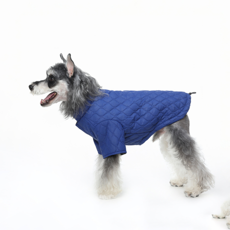 ဆောင်းရာသီခွေးဂျာကင်အင်္ကျီ - ဇစ်, windproof, ဆီးနှင်းများနှင့်ရေခံနိုင်ရည်ရှိသောနောက်ပြန်လှည့်သည့်အလတ်စားဂျာကင်အင်္ကျီ,