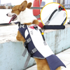 High Quality Dog Life Jacket With Rescue Handle Solid Color Summer Dog Swimming Safety Vest