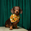 Hallowmas Luxury Dog Bandana Coton et Polyester Pet Pet Pet Pet pour l'été printemps d'hiver Mignon de motif animal accessoire