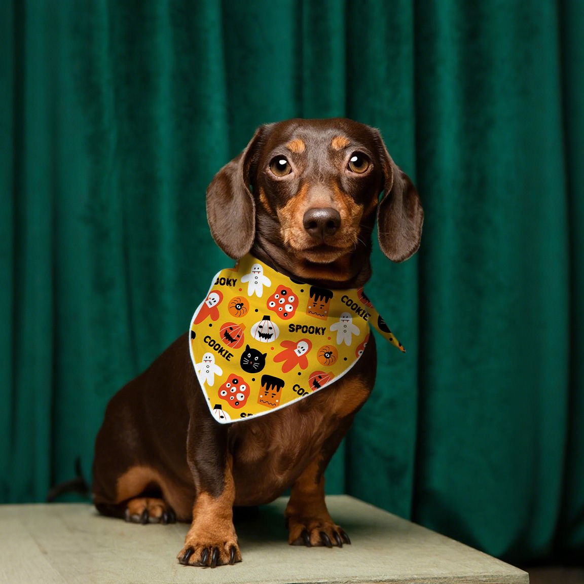 Hallowmas Luxury Dog Bandana Coton et Polyester Pet Pet Pet Pet pour l'été printemps d'hiver Mignon de motif animal accessoire