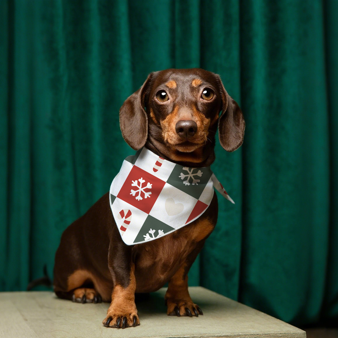 Collier de chien de Noël bandana festive pour accessoire de mode canine