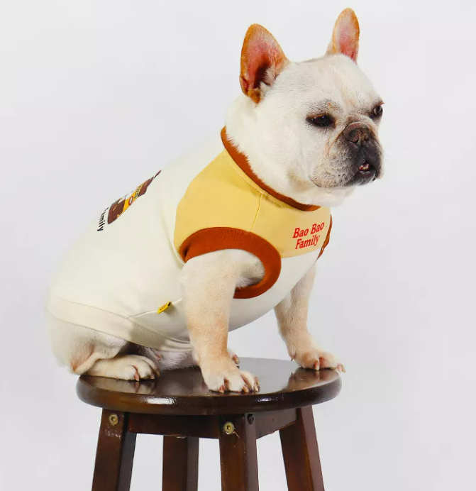 pet clothes pet clothes