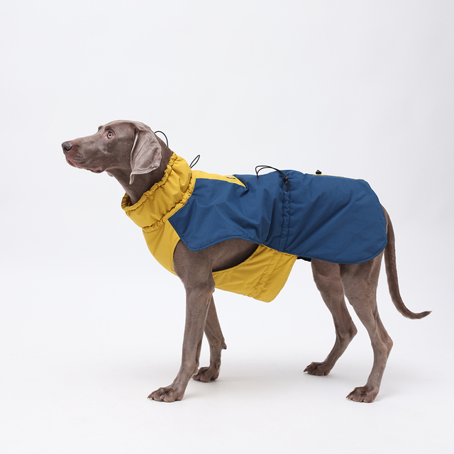 Husdjurskläder Varm Mjuk Designer Torkning Hundkläder Försäljare Vindtät Hund Modejacka Logotyp Väst Väder Varm Vinter Hundkappa