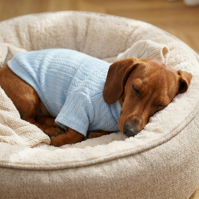 Cozy Seasonal Dog Hoodie in Red, Blue, Green - Warm Pet Cardigan for Autumn/Spring