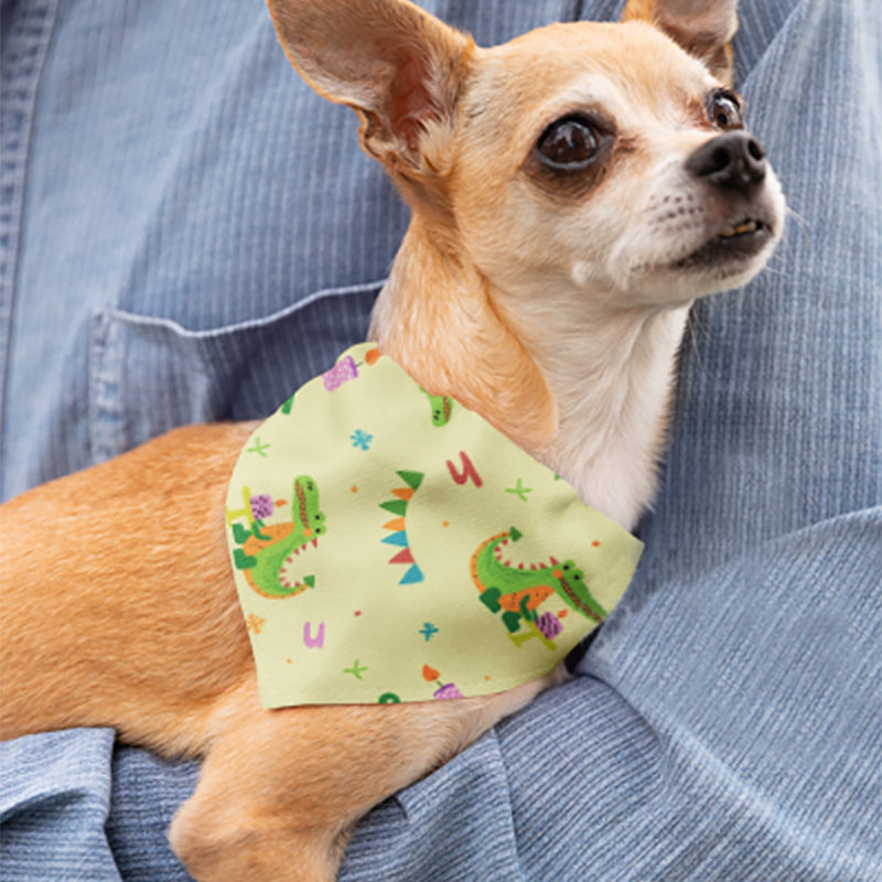 Pet bandana