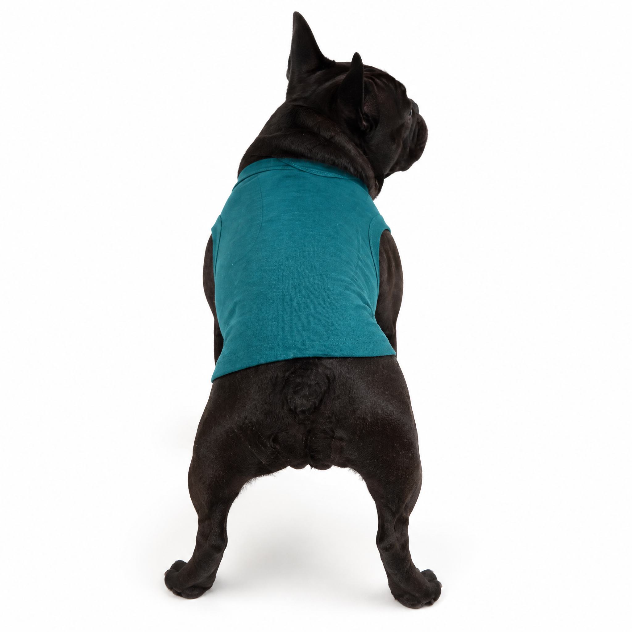 Eco-Friendly Cotton Large Dog T-Shirts, Plain Color, Bulk Pack