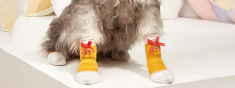 Pet Socks-4.png
