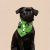 Hallowmas Luxury Dog Bandana Coton et Polyester Pet Pet Pet Pet pour l'été printemps d'hiver Mignon de motif animal accessoire