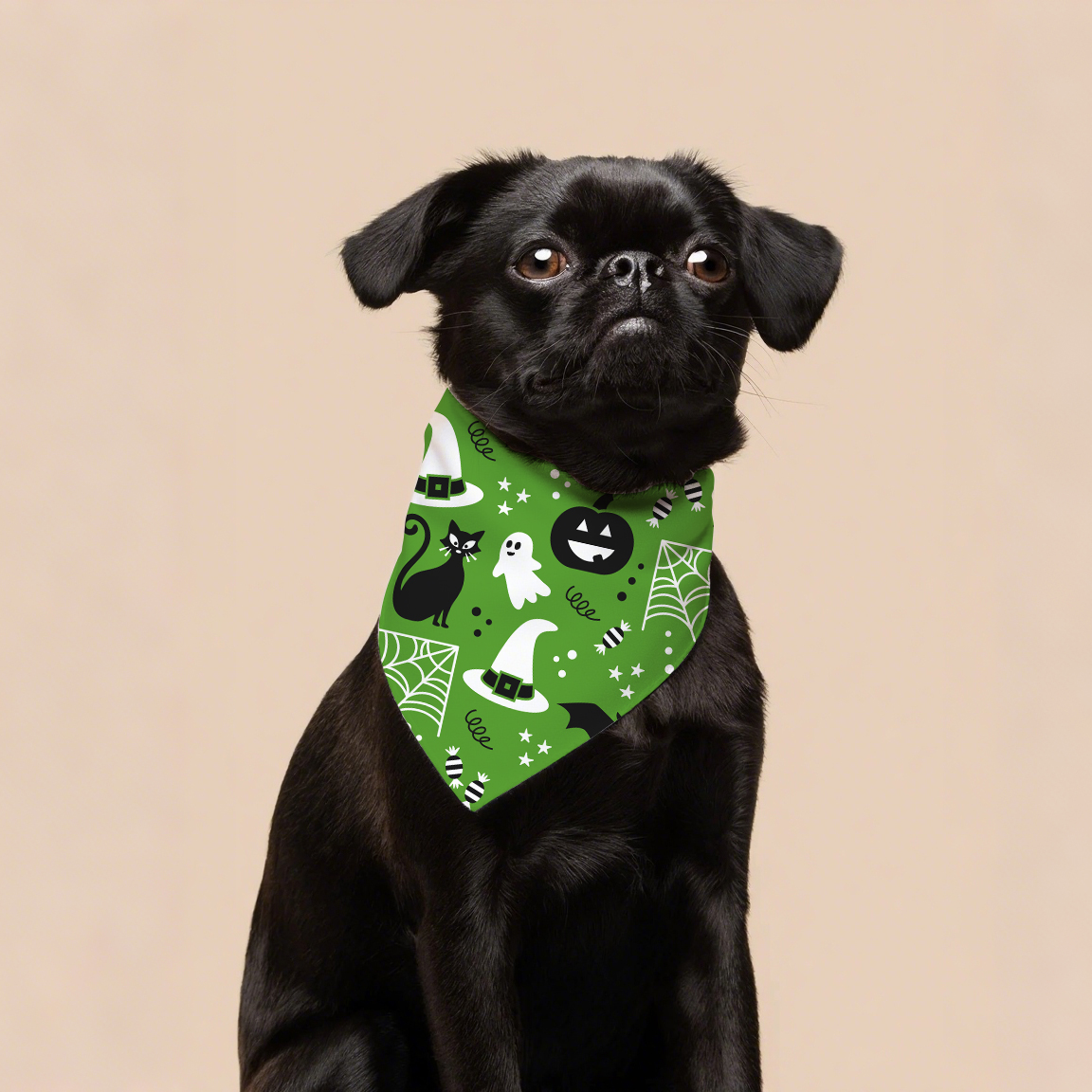 Hallowmas Luxury Dog Bandana Coton et Polyester Pet Pet Pet Pet pour l'été printemps d'hiver Mignon de motif animal accessoire