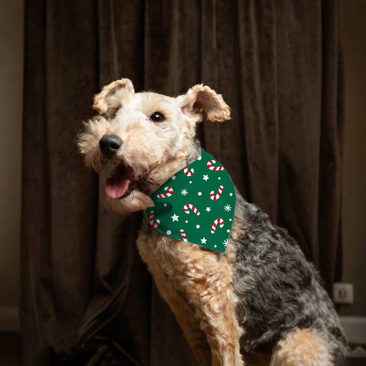 Collier de chien de Noël bandana festive pour accessoire de mode canine