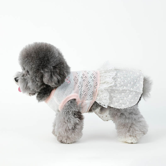 Pet Dog Long Sweater Robe tricotée Pull à cou tricot