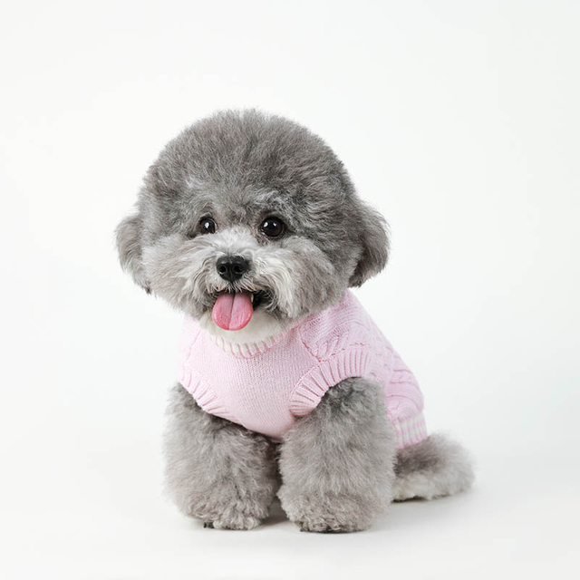 Pull de chien en tricot pour les petites et moyennes chiens, sweat chaud et veste pour chat, chemise chaude de chien en tricot et halte de câble classique