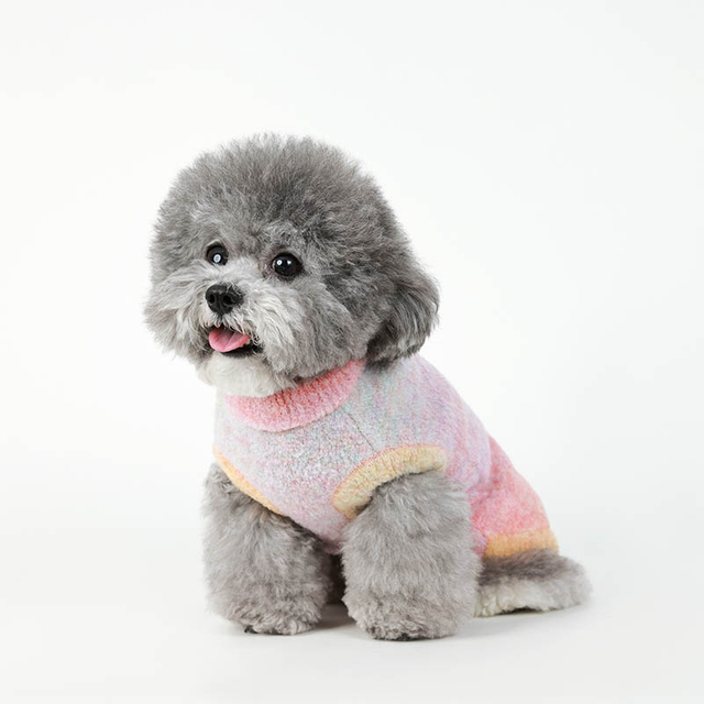 Puppy Pet Pull, Colord Tritted Puppy Pull Winter Winter Chog Dogs Clothes, Coltleneck Pullaver pour les chats et chiots pour animaux de compagnie