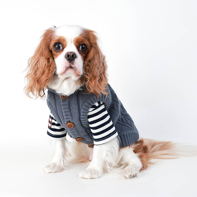 Small Dog Sweater Pet Pet Pand Tweater Vêtements Chiens chauds avec bouton, sweat à capuche Câble Cable Tricot Winter Veste d'hiver pour les petites filles de chien Boys Soft Cat Vêtements