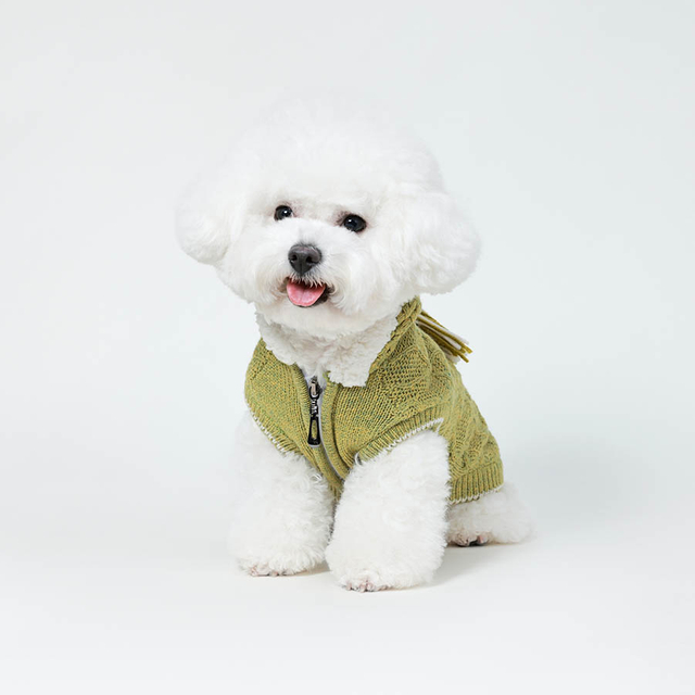  Pullaire de chien en tricot avec animal de compagnie Dog Hoodie à sweat à sweat à animal de compagnie Costumes animaux de compagnie Fit confortable ， vêtements pour animaux de compagnie Pull en laine avec capuche hivernale