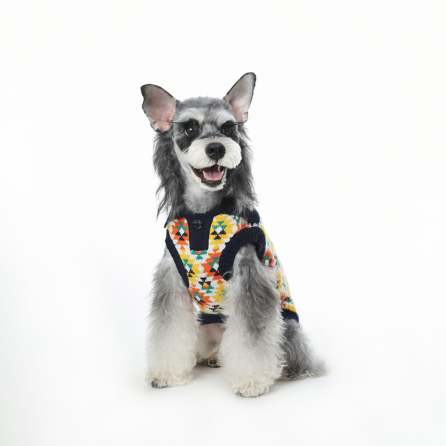 Hoë nek gebreide honde trui winterbaadjie klere klassieke gebreide troeteldierklere