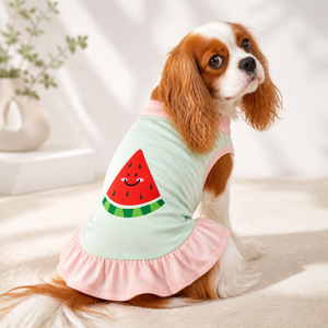 Custom Watermelon Ruffle Pet Dress Summer